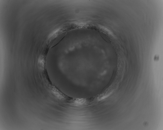 X0000095130720200712301824