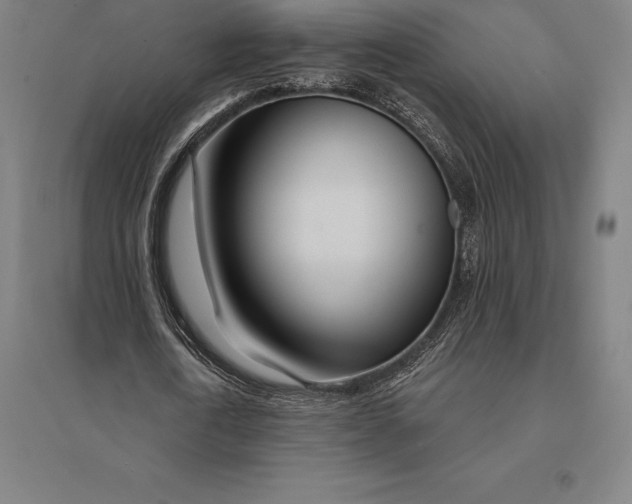 X0000095130722200712301823