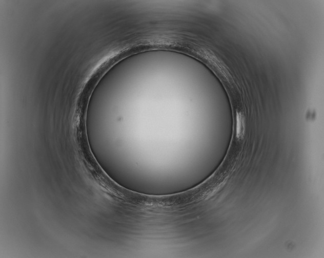 X0000095130723200712301823