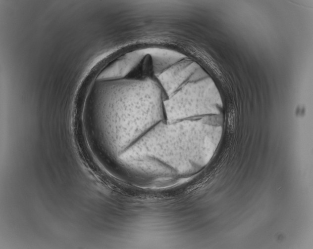 X0000095130724200712301823