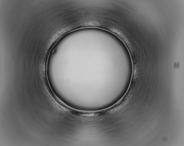 X0000095130725200712301823