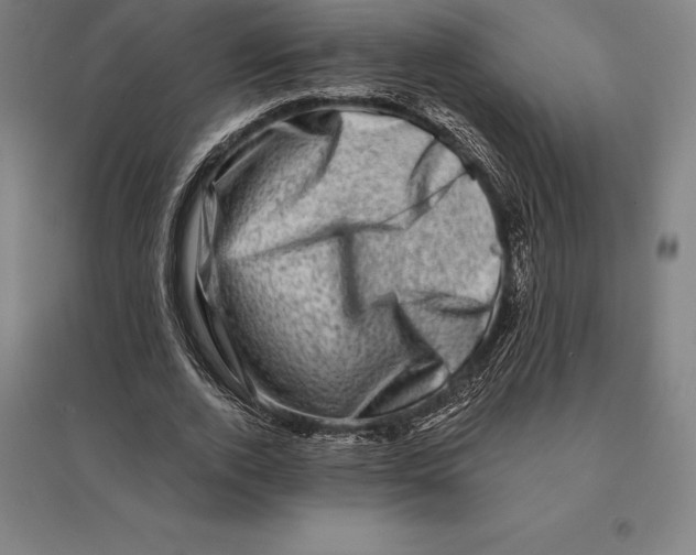 X0000095130728200712301824