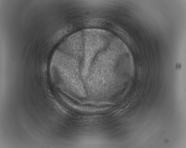 X0000095130729200712301824