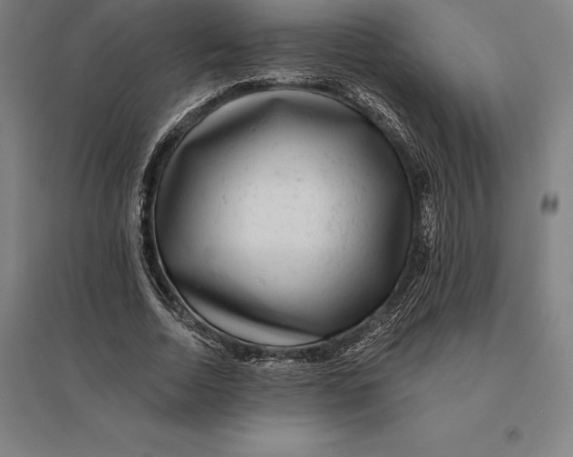 X0000095130730200712301824