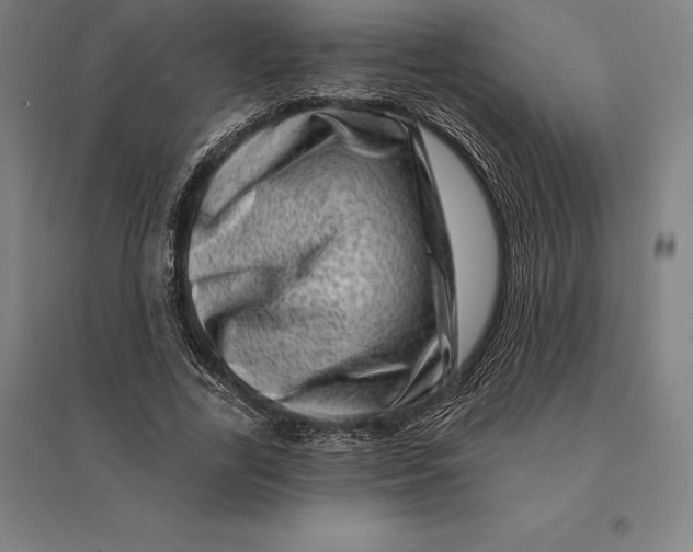 X0000095130731200712301824