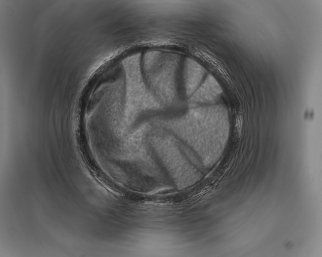 X0000095130732200712301824