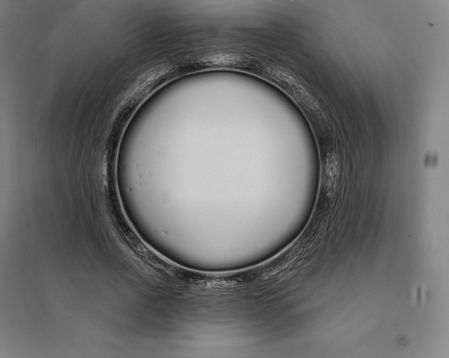 X0000095130734200712301824