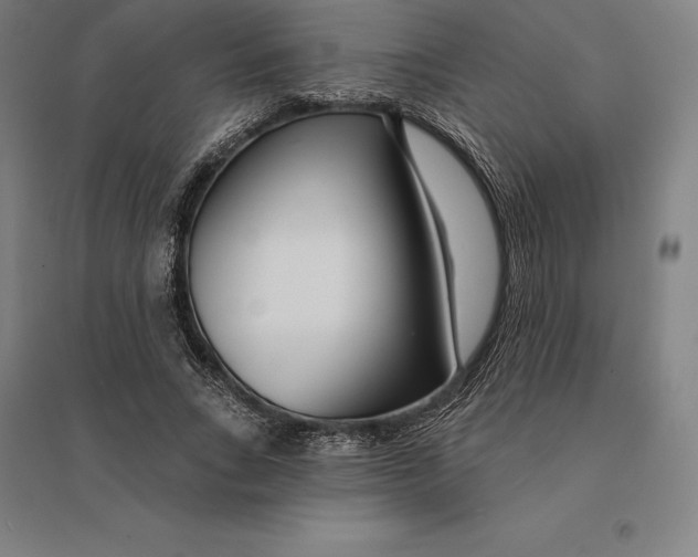 X0000095130735200712301824