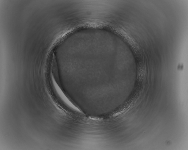 X0000095130736200712301824