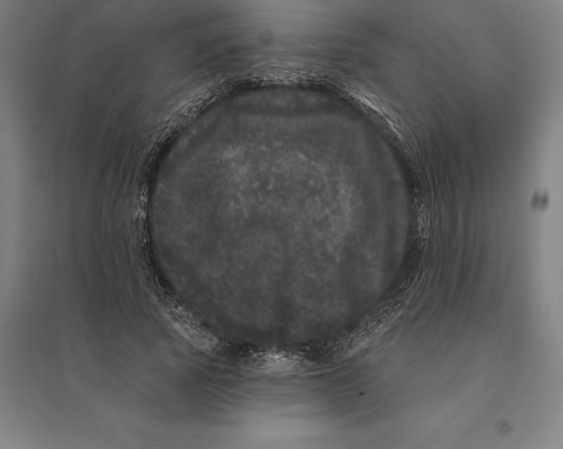 X0000095130737200712301824