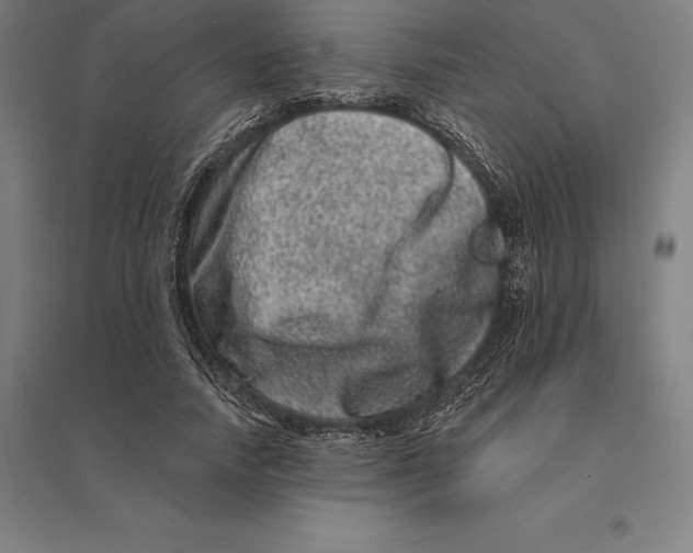 X0000095130738200712301824