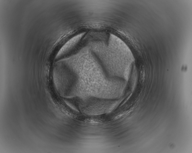 X0000095130739200712301824