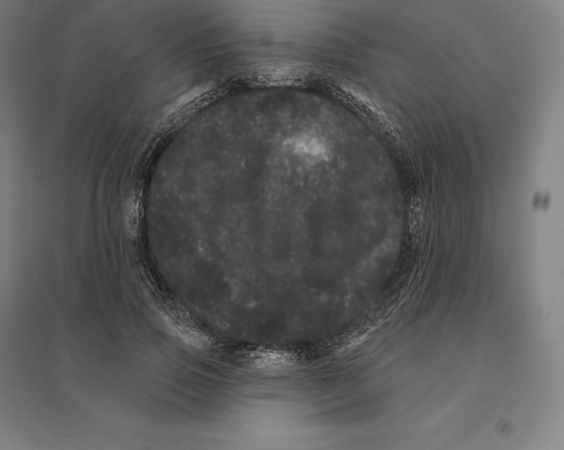 X0000095130741200712301824