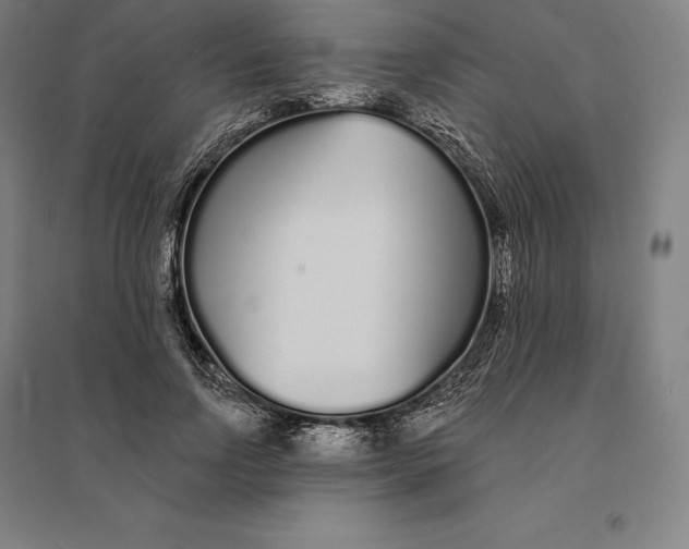 X0000095130742200712301824