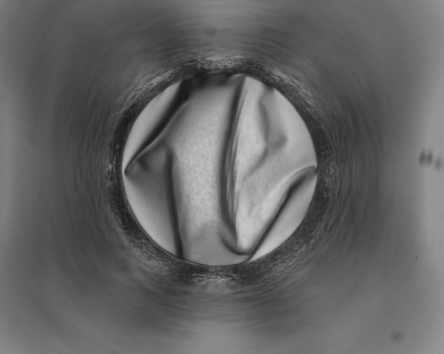 X0000095130743200712301824