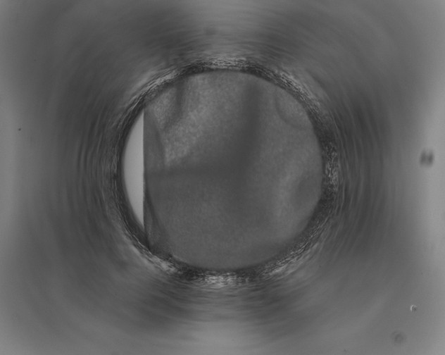 X0000095130744200712301824