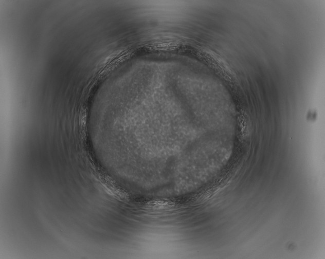 X0000095130745200712301824