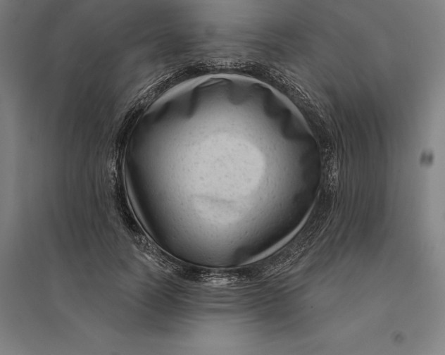 X0000095130746200712301824