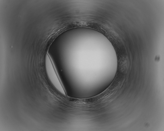 X0000095130747200712301824