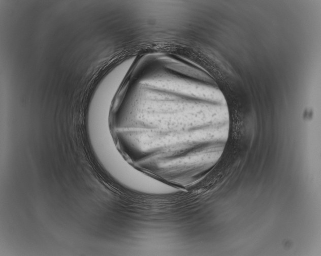 X0000095130748200712301824