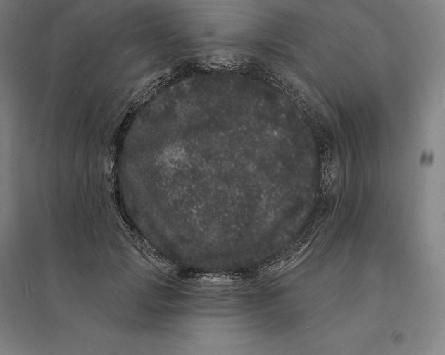 X0000095130749200712301824