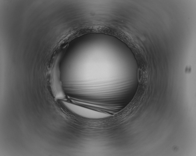 X0000095130750200712301824