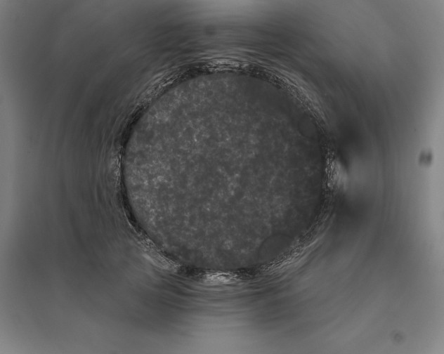 X0000095130753200712301824