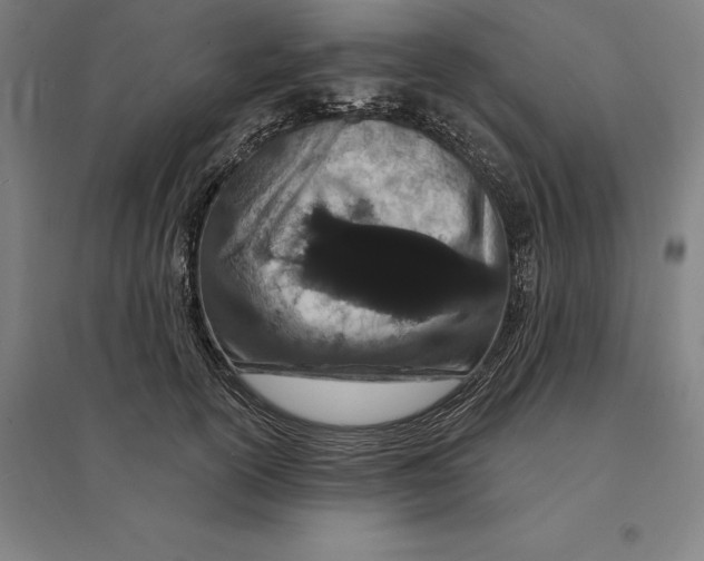 X0000095130754200712301824