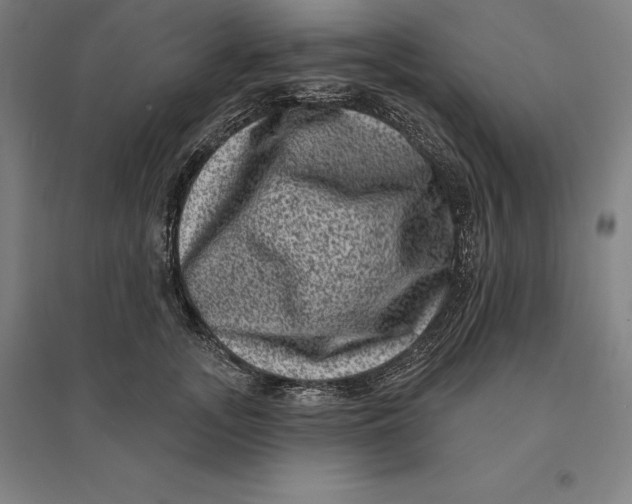 X0000095130755200712301824