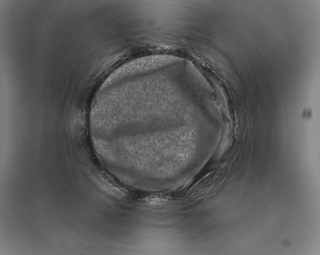 X0000095130756200712301824