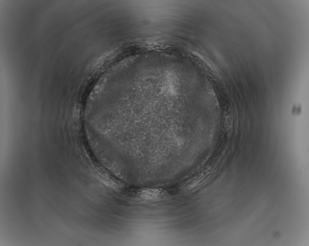 X0000095130757200712301824