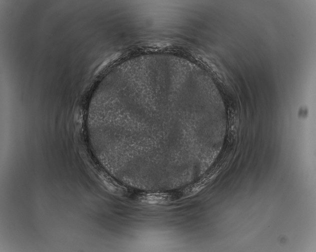 X0000095130758200712301824