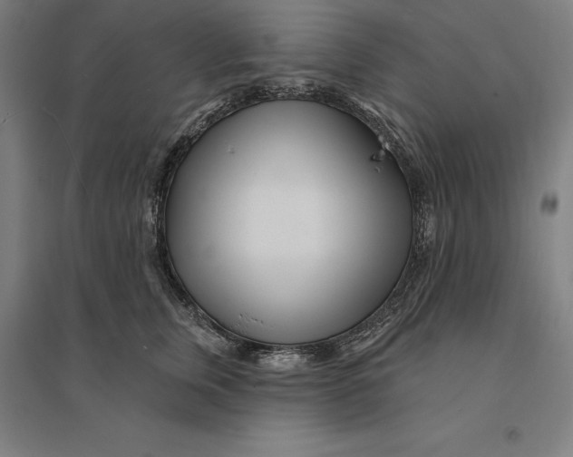 X0000095130759200712301824