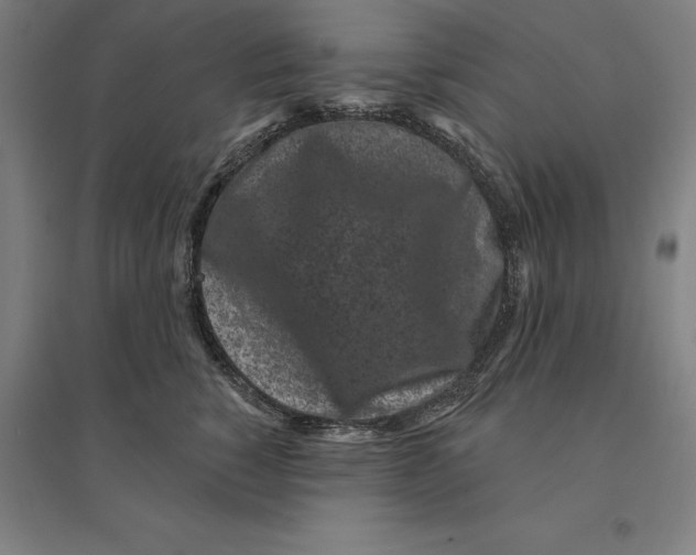 X0000095130760200712301824