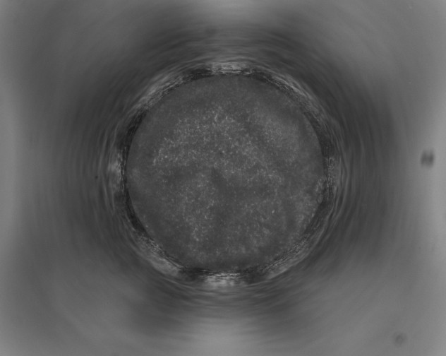 X0000095130761200712301824