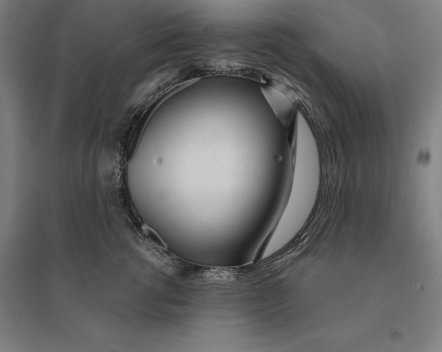 X0000095130762200712301824