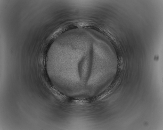 X0000095130763200712301824