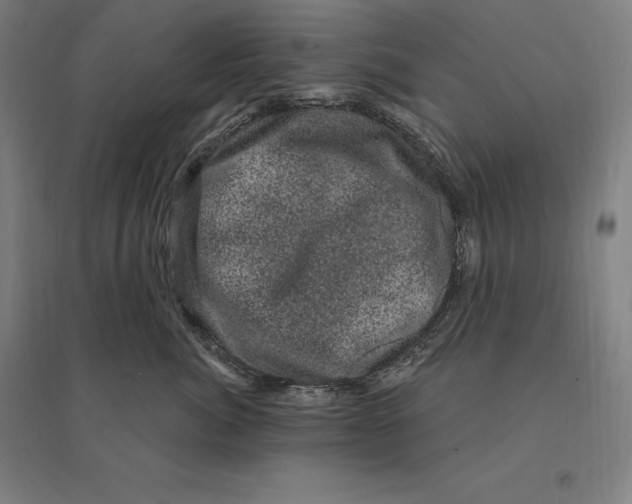 X0000095130764200712301824