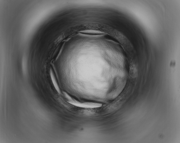 X0000095130765200712301824