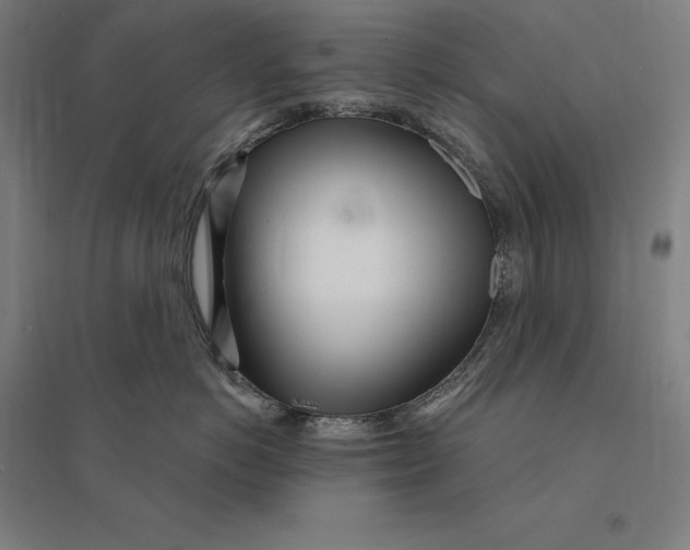 X0000095130766200712301824