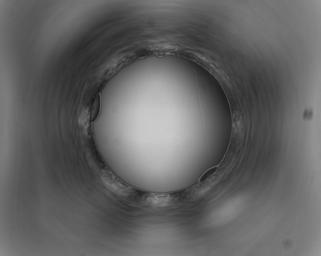 X0000095130767200712301824