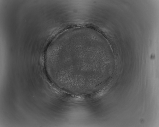 X0000095130768200712301824