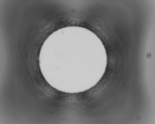 X0000095130769200712301823