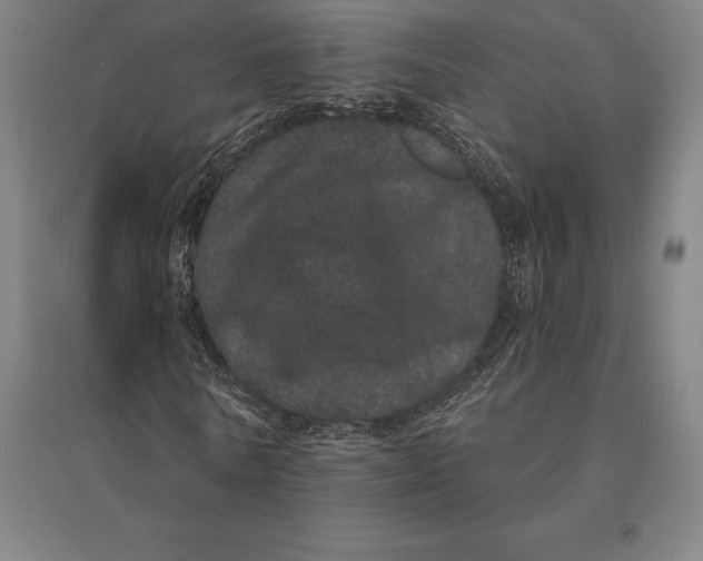 X0000095130770200712301823