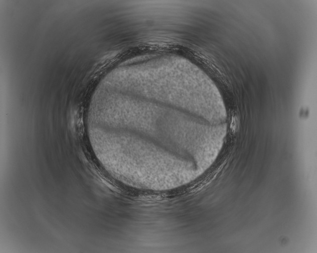 X0000095130771200712301823