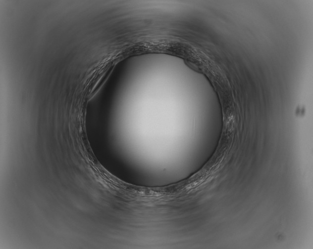 X0000095130772200712301823