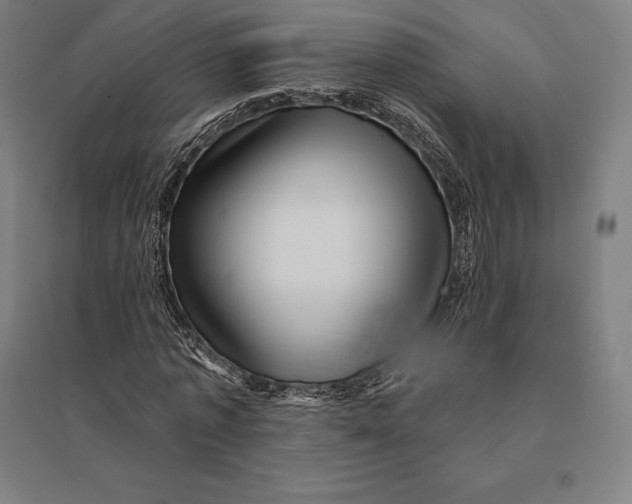 X0000095130773200712301823