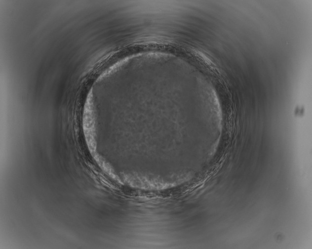 X0000095130774200712301823