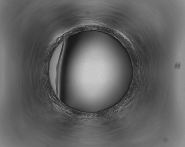 X0000095130775200712301823