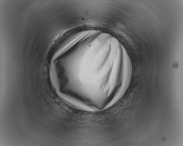 X0000095130776200712301823